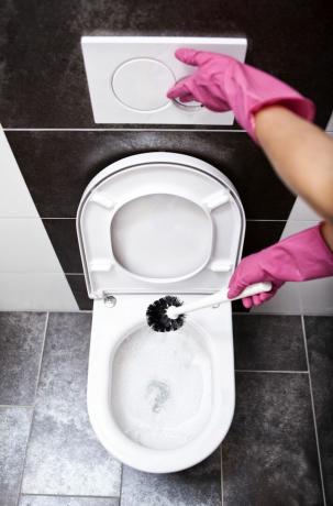 žena čištění záchodu s WC kartáč