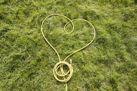 Vysoký úhel pohledu žluté zahradní hadice ve tvaru srdce