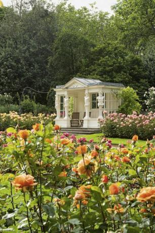 zahrady v Buckinghamském paláci odhaleny v nové knize
