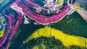 Tento dronový záznam čínského jarního květu je ohromující