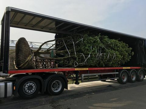 Chelsea Flower Show 2019: Vítejte v zahradách Yorkshire začíná stavět