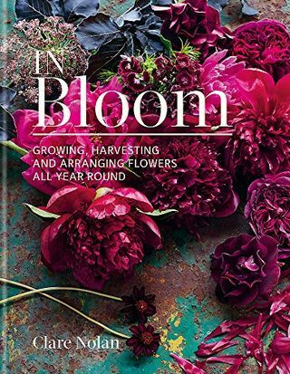 In Bloom: Pěstování, sklizeň a aranžování květin po celý rok
