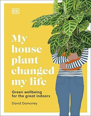 Rostlina My House změnila můj život: Zelená pohoda pro velké interiéry