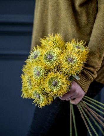 Philippa Craddock V & A-inspiroval kolekce umělých květin