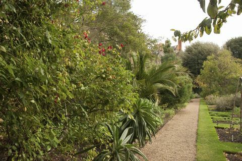 Chelsea Physic Garden, Londýn, Anglie