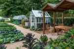 RHS Hampton: Jak si vypěstovat vlastní zahradu bez vykopávek