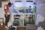 Domácí akvárium: Akvárium je v podstatě živé umění pro váš domov – zde je návod, jak si ho ponechat