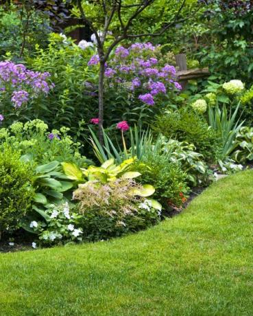 svěží upravená zahrada s květinovým záhonem a barevnými rostlinami