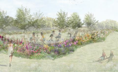 růžová čajová zahrada, rhs feature garden, navržená pollyannou wilkinson, rhs hampton court palace garden festival 2022