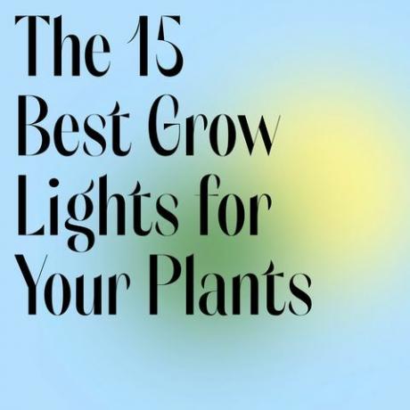 15 nejlepších pěstovaných světel pro vaše rostliny