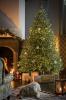 Nejprodávanější předsvětlený vánoční strom ideální pro rodinný dům