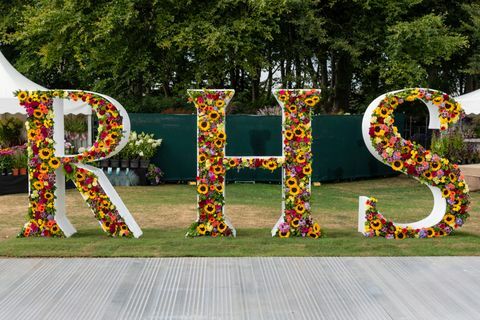 RHS Tatton Flower Show 2018