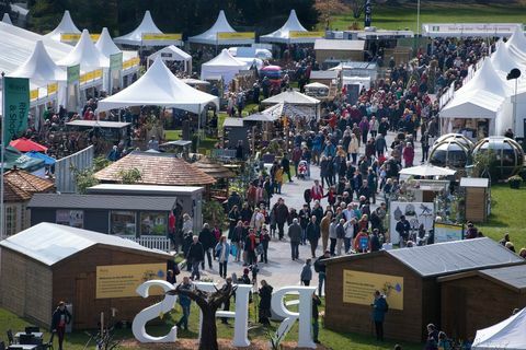 Cardiff Flower Show 2019