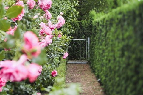 anglicko-venkovská zahrada-živá stezka