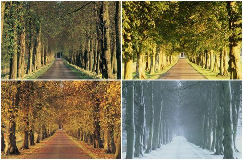 krásné podzimní krajiny: venkovský pruh, anglie