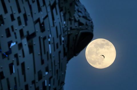 Růžová supermoon