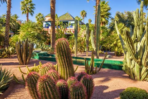 Botanická zahrada Jardin Majorelle v Marrákeši