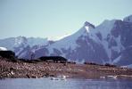Štědrý den v Antarktidě - přijímání vánočních dárků a dárků v Antarktidě