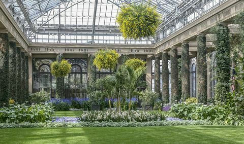 Uvnitř konzervatoře v Longwood Gardens, Kennett Square, PA, USA