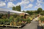 Druhé uzamčení: Zůstanou zahradní centra v Anglii otevřená?