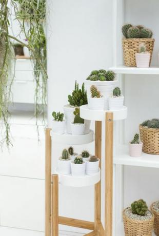 IKEA a Indoor Garden Design, společně vytvořily výstavu na RHS Chelsea Flower Show 2017