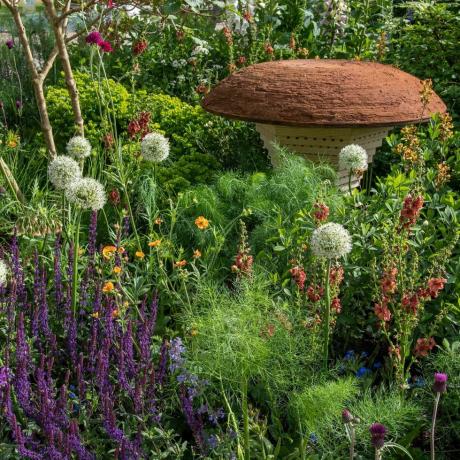 bbc studios naše zelená planeta a včelí zahrada rhs navržená joe swiftem rhs chelsea květinová výstava 2022