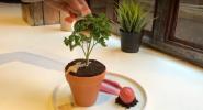 Spot Dezert Bar dělá jedlou rostlinu, Molten Matcha Lava Cake