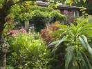 Bývalá zahradní návrhářka vytváří v jejím domě ohromující „olympijskou zahradu“