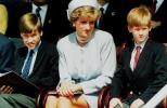 Princezna Diana: Tragédie nebo Treasonova dokumentární fakta