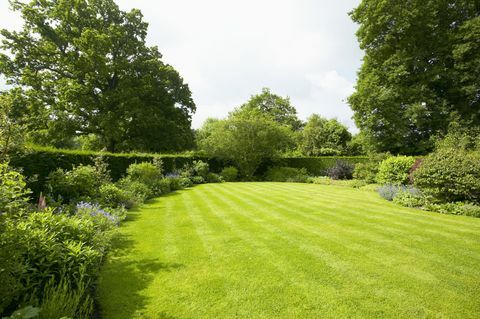 Trávník obklopený výsadbou hranic, The Lowes Garden, The Coach House, Haslemere, Surrey, UK