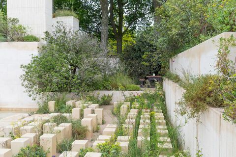 Zahrada M&G. Navrhl: James Basson. Sponzoruje: M&G Investments. RHS Chelsea Flower Show 2017.