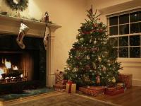 Skutečné vs. Falešné vánoční stromky: Který je ten pravý pro váš domov?
