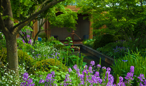 Zahrada Morgan Stanley pro Great Ormond Street Hospital byla navržena tak, aby vystupovala na RHS Chelsea Flower Show.