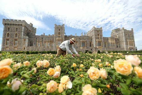 Východní zahradní zahrada zámku Windsor se otevírá pro veřejné fotocall