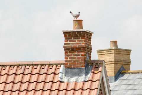Komínový komín. Městské sídliště střechy domu s holubem.