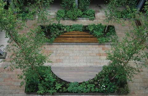 Ocenění Society of Garden Designers Awards - Anne Windsor - Vítězka velkých myšlenek, Smal Budget Award - ceny SGD AWARDS 2017
