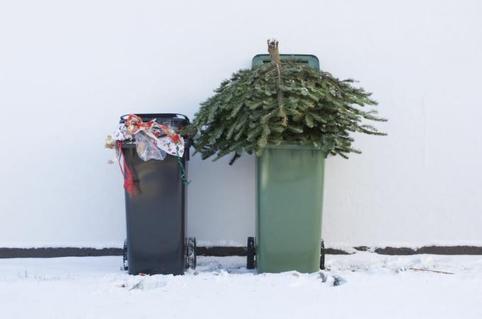 recyklujte svůj vánoční stromek