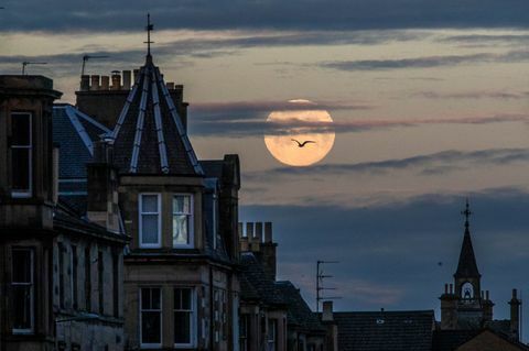 Pink Supermoon