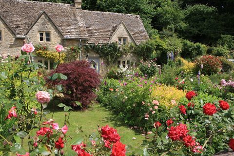 Jedna z nejlepších zahrad v cotswolds of Bibury; William Morris to nazval nejkrásnější vesnicí v zemi;