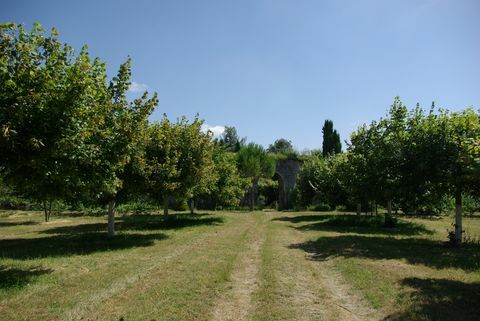 Richelieu - Prohlídky - Touraine - stromy - Francie - Savills