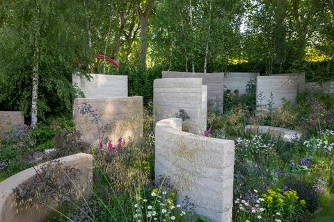 zahrada mysli navržená andym jeseterem sponzorovaná projektem vracení na podporu mysli show garden rhs chelsea květinová show 2022