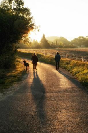 dvě ženy venčení psa při východu slunce