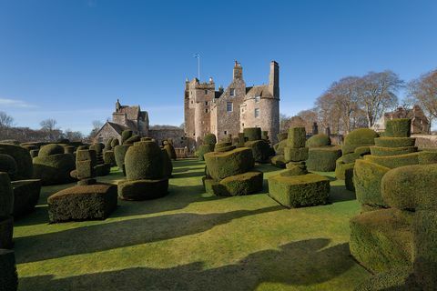 Hrad Earlshall - St. Andrews - topiary - Skotsko - Savills