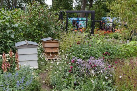 rhs cop26 zahradní zmírňující zóna navržená marie louise agius, balston agius feature garden rhs chelsea flower show 2021 stánek č. 327