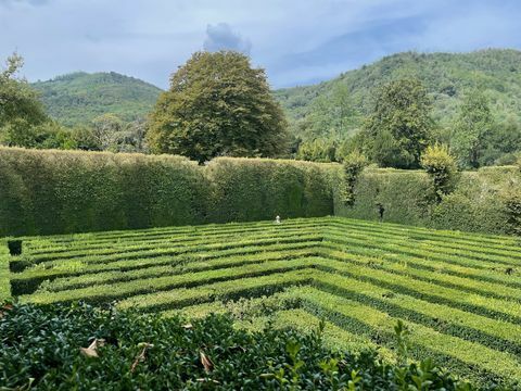 Monty Don's Jadranské zahrady